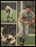 Rod Carew, Brooks Robinson & Bill Freehan Autographed 8.5x11.5 Magazine Page Photo