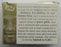 Chasing 61 Mark McGwire, Sammy Sosa, Ken Griffey Jr. 23 KT Gold Foil cards Limited Edition