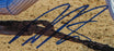 Dellin Betances Signed Auto 8x10 Photo MLB Hologram