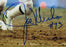 Joe Klecko Signed Auto 11x14 Photo JSA CM07415