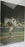 Denny McLain Auto Sports Illustrated 24x36 Baseball Poster JSA CM07490