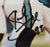 Joel Smeenge Signed 8x10 Photo