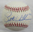 Scott Williamson Signed Auto Baseball B151