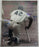 ROY Rookie of the Year Multi Signed Auto 16x20 Jackie Robinson Photo - Pete Rose, Jose Canseco