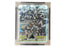 Jason Witten Signed Dallas 3D Light Up Framed Football 16x20 Photo (Beckett)