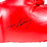 Iran Barkley Signed Red Boxing Glove (JSA)