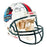 Hall of Fame Quarterbacks Signed Pro Football Hall of Fame Authentic Full-Size Football Helmet ()