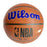 Robert Horry Signed Los Angeles Lakers NBA Team Logo Basketball (JSA)