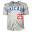 Derrek Lee Signed Chicago Grey Baseball Jersey (Beckett)