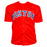 David Ortiz Signed Boston Red Baseball Jersey (JSA)