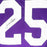Y.A. Tittle Signed LSU College Purple Football Jersey (JSA)