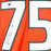 Vince Wilfork Signed Miami College Orange Football Jersey (Beckett)