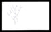 Joey Giardello Autographed 3x5 Index Card Middleweight Champ "Best Of Luck" SKU #179716 - RSA