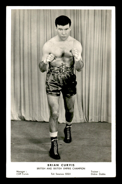 Brian Curvis Autographed 3.5x5.5 Postcard SKU #179749 - RSA