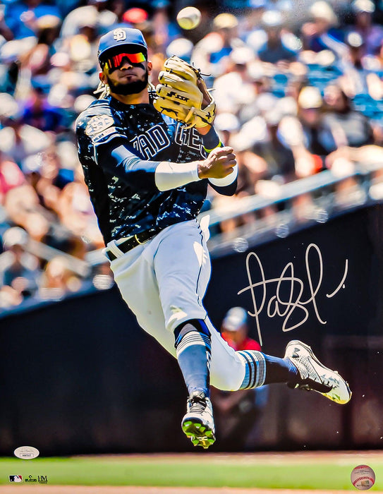 Fernando Tatis Jr. Autographed 16x20 Photo San Diego Padres JSA Stock #201954 - RSA