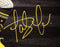 Fernando Tatis Jr. Autographed 16x20 Photo San Diego Padres Spotlight JSA Stock #201960 - RSA