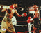 Diego Corrales Autographed 8x10 Photo PSA/DNA #S42178 - RSA
