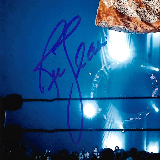 Ric Flair Autographed 11x14 Photo JSA Stock #203596 - RSA
