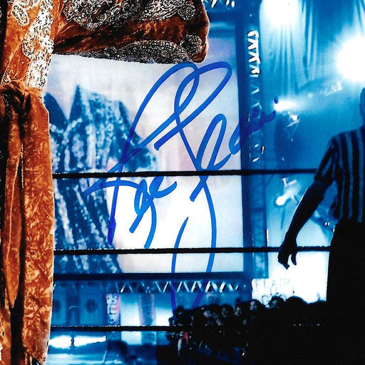 Ric Flair Autographed 11x14 Photo JSA Stock #203597 - RSA