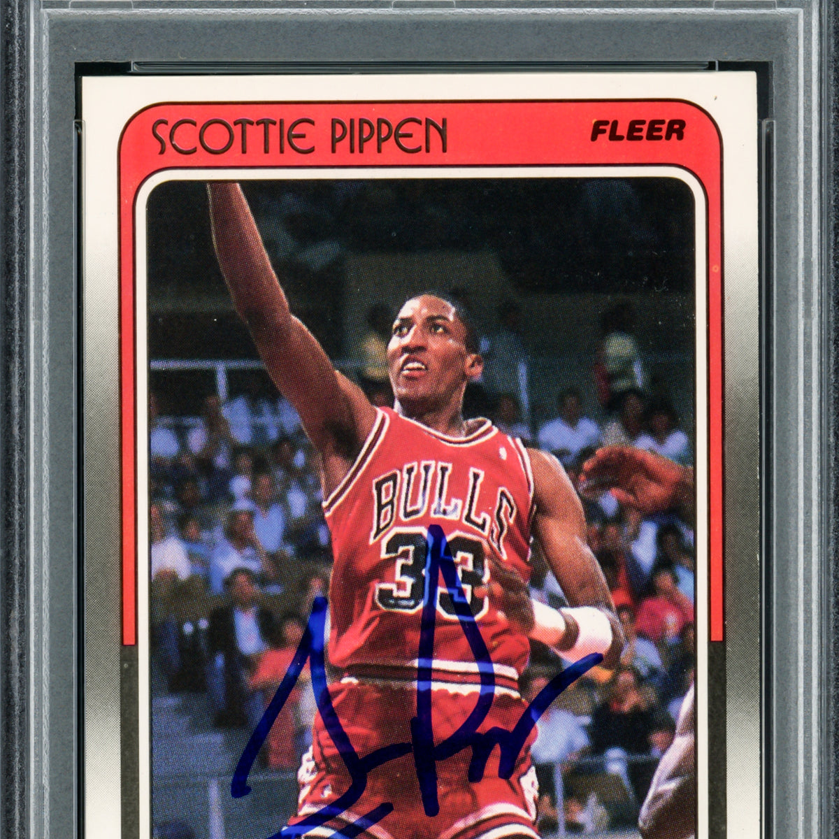 Scottie Pippen Autographed 1988-89 Fleer Rookie Card #20 Chicago Bulls Auto  Grade Gem Mint 10 PSA/DNA #71811240