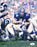 bob lilly signed 8x10 dallas cowboys photo jsa nn88702 certificate of authenticity