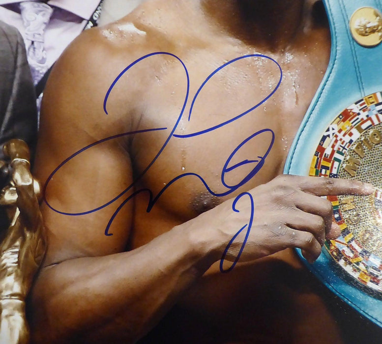 Floyd Mayweather Jr. Autographed 16x20 Photo JSA Stock #178319 - RSA
