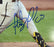 Fernando Tatis Jr. Autographed 16x20 Photo San Diego Padres Beckett BAS Stock #181117 - RSA