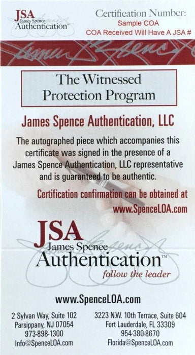 Brandi Chastain Autographed 8 x 10 Photo (JSA) Soccer - RSA
