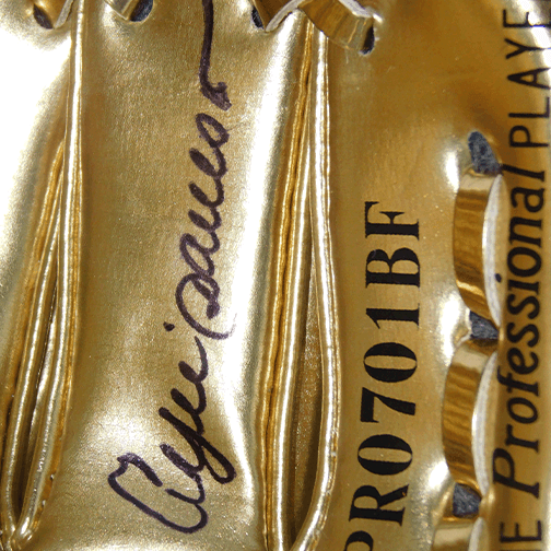 Andre Dawson Autographed Rawlings Baseball Mini Gold Glove (JSA) - RSA