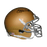 Paul Hornung Notre Dame Autographed Football Mini Helmet Gold (JSA) - RSA