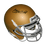 Paul Hornung Notre Dame Autographed Football Mini Helmet Gold (JSA) - RSA