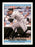 Robin Ventura Autographed 1992 Donruss Card #145 Chicago White Sox SKU #184565 - RSA
