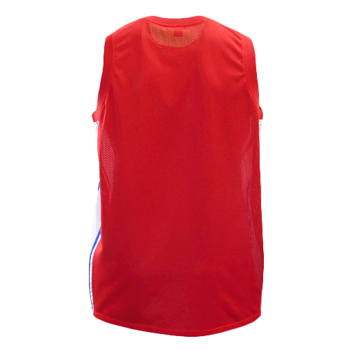 Carl Lewis Olympic-Style USA jersey (JSA) - RSA