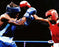 Andre Berto Autographed 8x10 Photo PSA/DNA #Q95907 - RSA