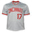 Chris Sabo Signed Cincinnati Grey Baseball Jersey (JSA) - RSA