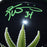 Ricky Williams Signed Green Leaf Mini Replica Black Football Helmet (JSA) - RSA